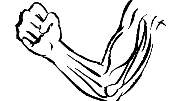 マッスルブループリンツ株式会社